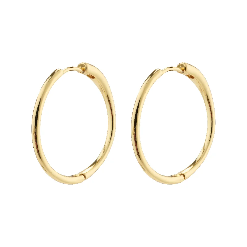 crystal drop earrings for women -EANNA large hoops gold-plated