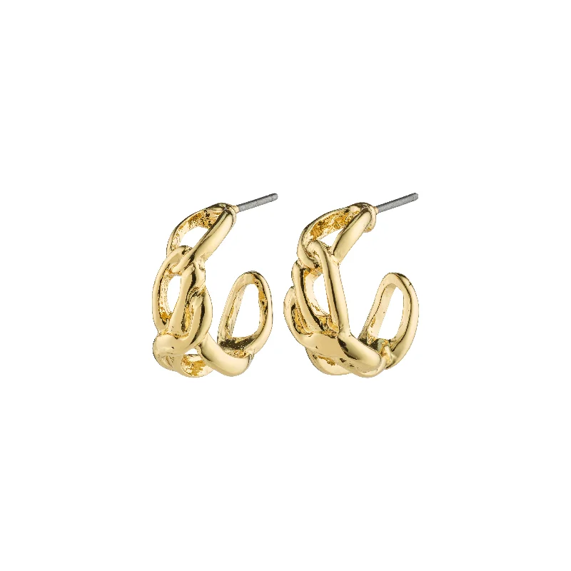 elegant earrings for women -RANI earrings gold-plated